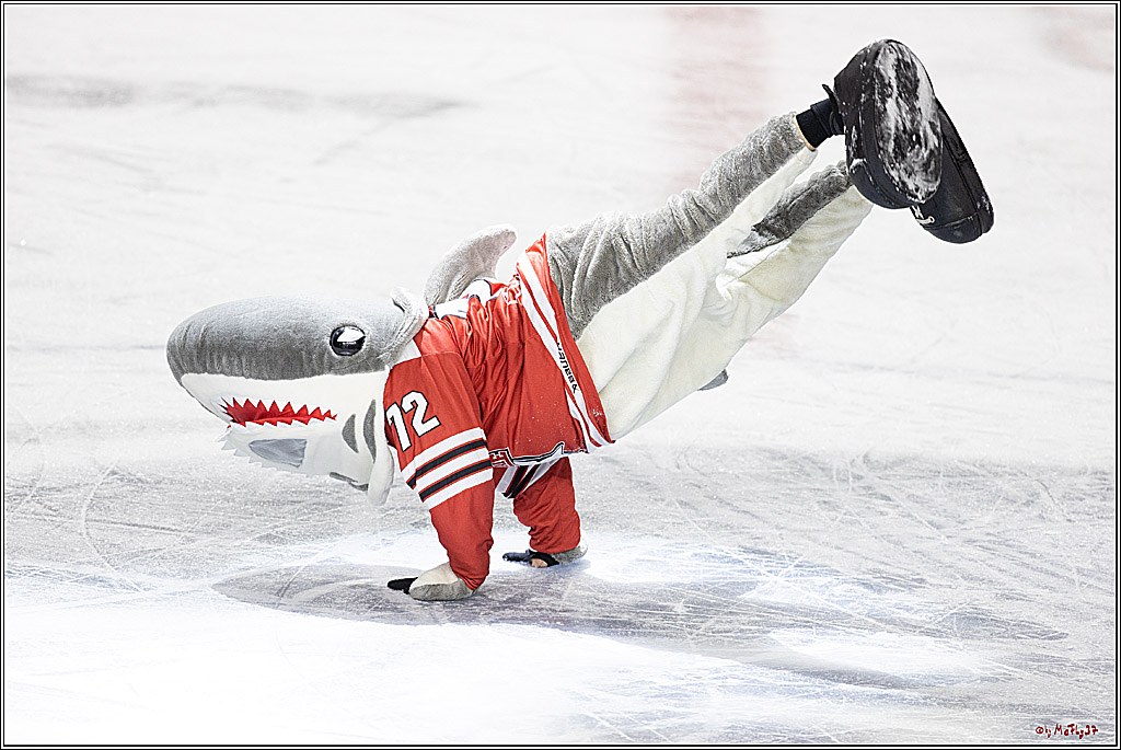 PENNY DEL;  Koelner Haie - Schwenninger Wild Wings; Koeln, 18.01.2023